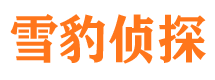 大通外遇调查取证